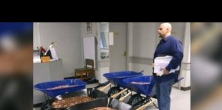 Американец проучил чиновников, уплатив налог 5 тележками мелочи. ВИДЕО