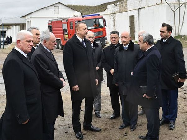 600_aliev-dispancer1