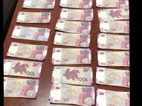 600_falshivia-manati1